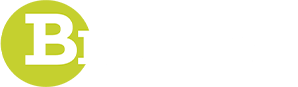 Brizaga
