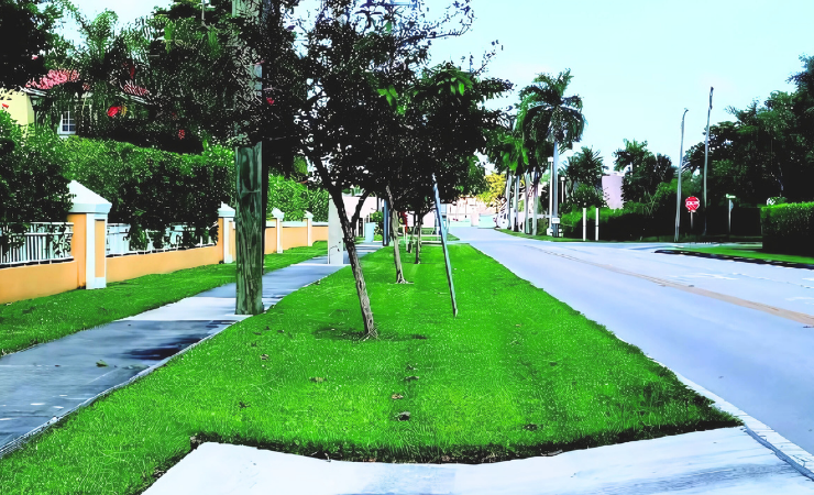 Hollywood Swale